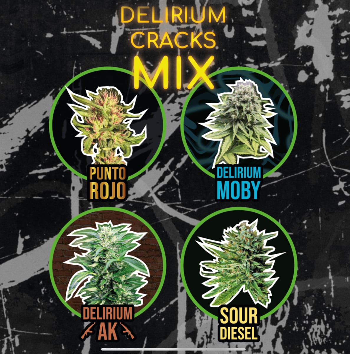 MIX DELIRIUM CRACKS FAST VERSION X4 - DELIRIUM SEEDS 0