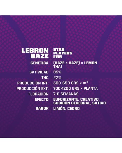 LEBRON HAZE FEM X2 - BSF SEEDS1