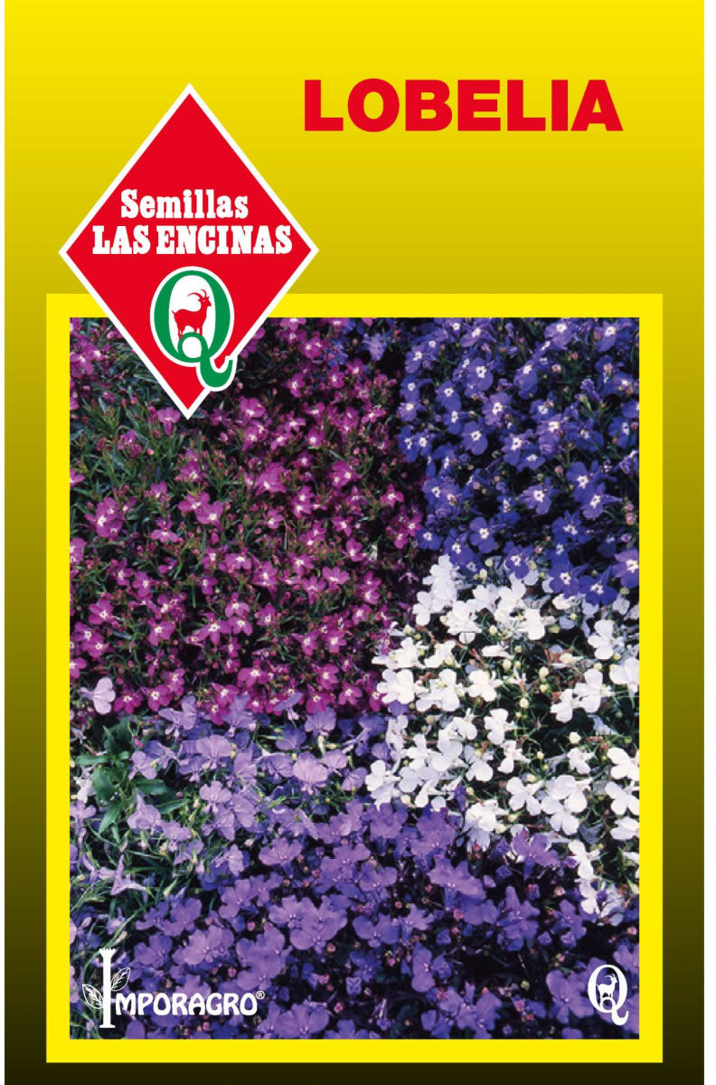 LOBELIA 0