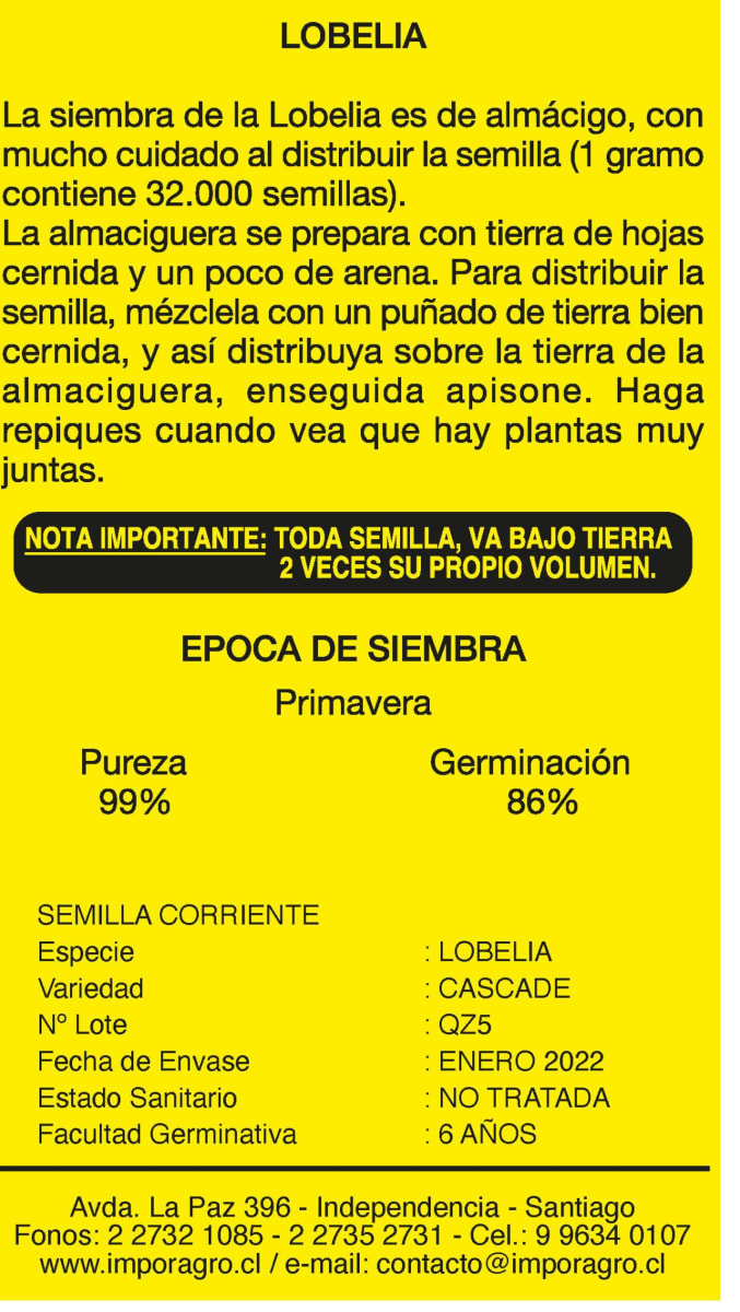 LOBELIA2