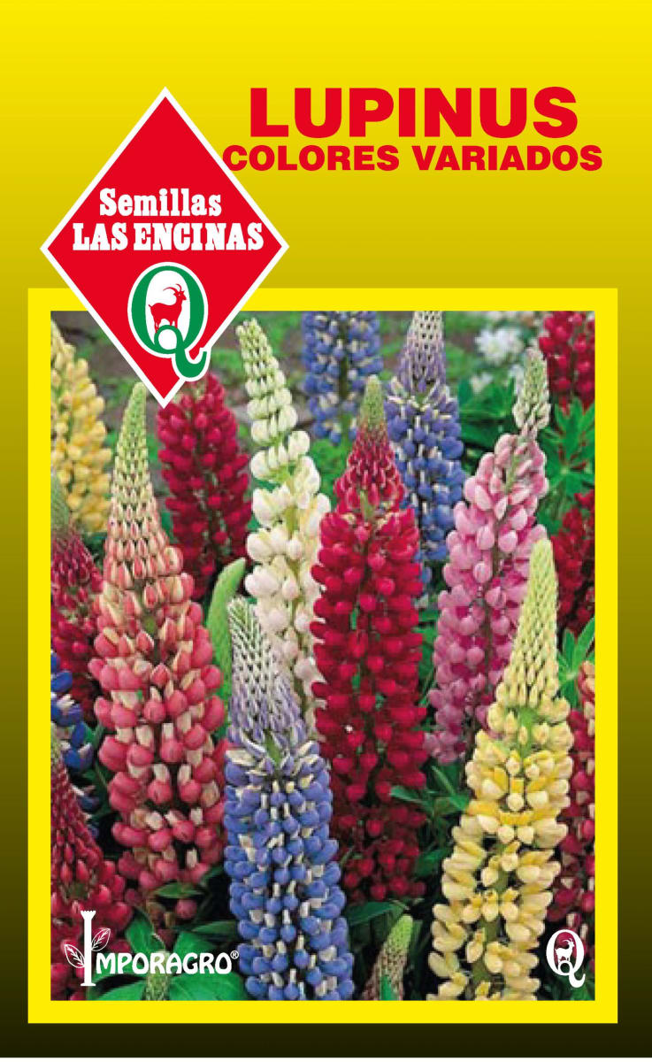 LUPINUS COLORES VARIADOS 0