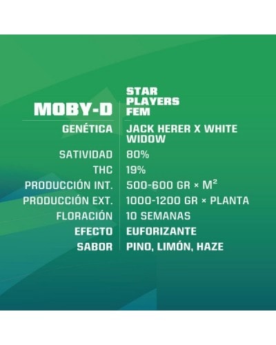 MOBY D FEM X2 - BSF SEEDS2