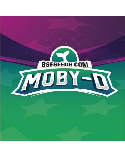 MOBY D FEM X2 - BSF SEEDS 2