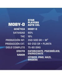 MOBY D XXL AUTO X4 - BSF SEEDS1