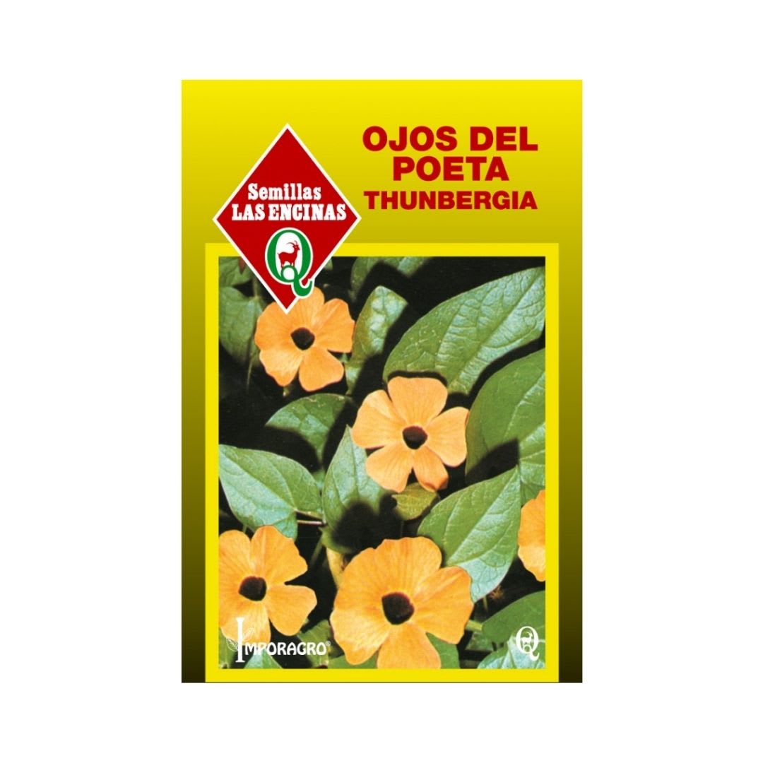 OJOS DEL POETA THUNBERGIA 0