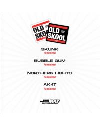 OLD SKOOL FEM X4 - BSF2