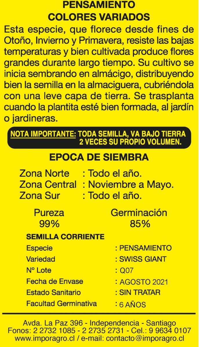 PENSAMIENTO COLORES VARIADOS2