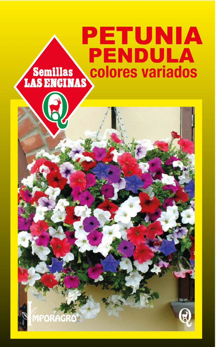 PETUNIA PENDULA COLORES VARIADOS 0