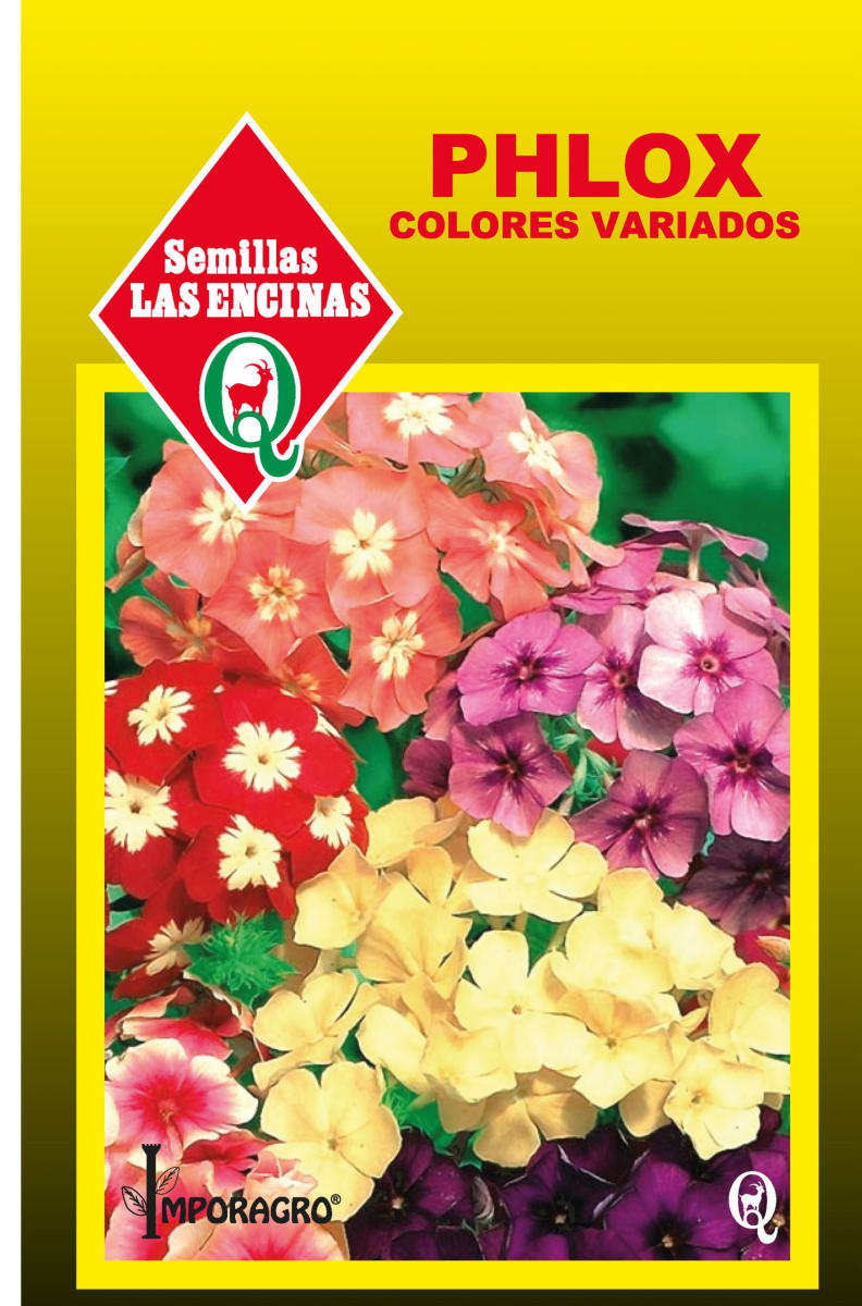 PHLOX COLORES VARIADOS 0