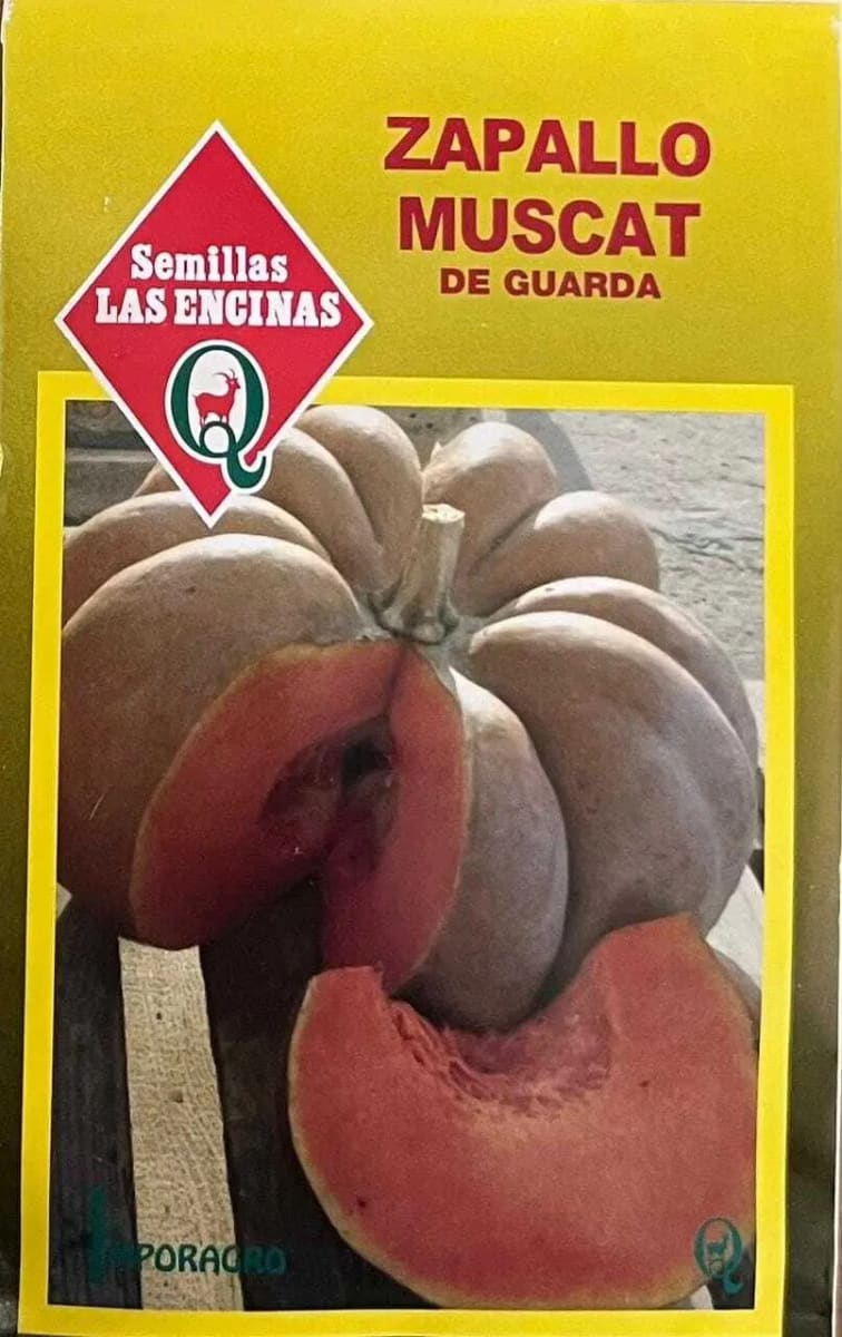 ZAPALLO MUSCAT DE GUARDA 0