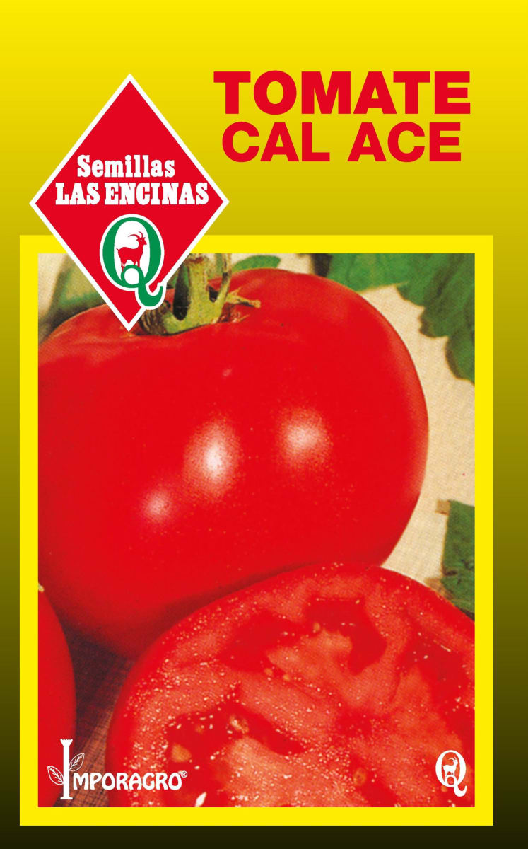 TOMATE CAL ACE 0