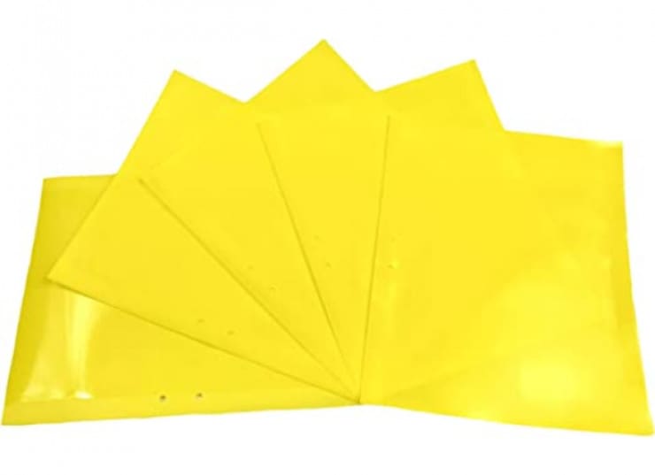 TRAMPAS PEGAJOZAS - 10UND2