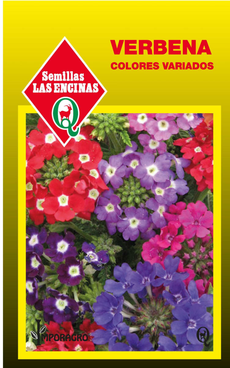 VERBENA COLORES VARIADOS 0