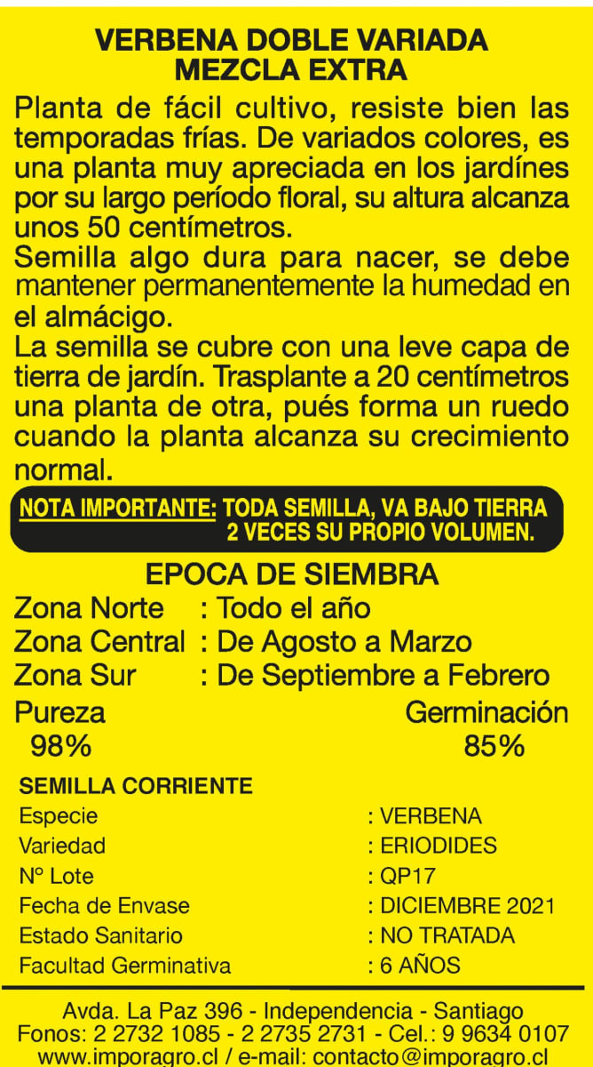 VERBENA COLORES VARIADOS2