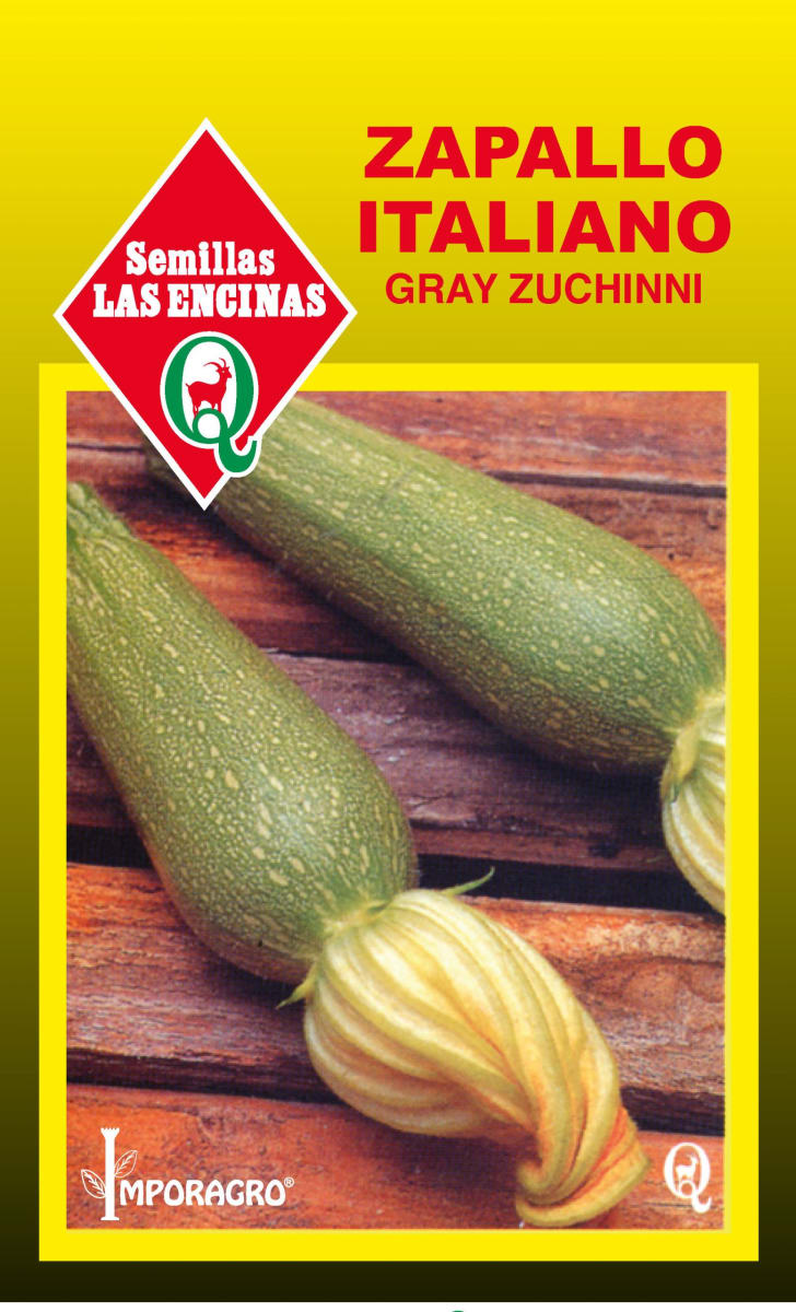 ZAPALLO ITALIANO GRAY ZUCHINNI 0