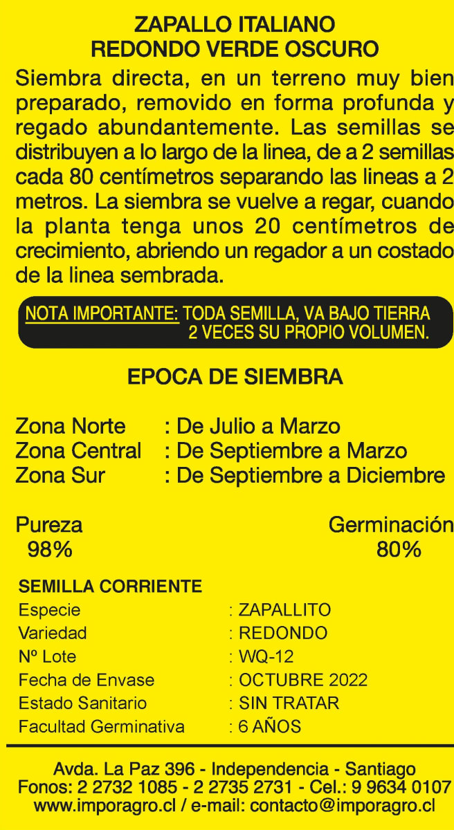 ZAPALLO ITALIANO REDONDO (VERDE OSCURO)2