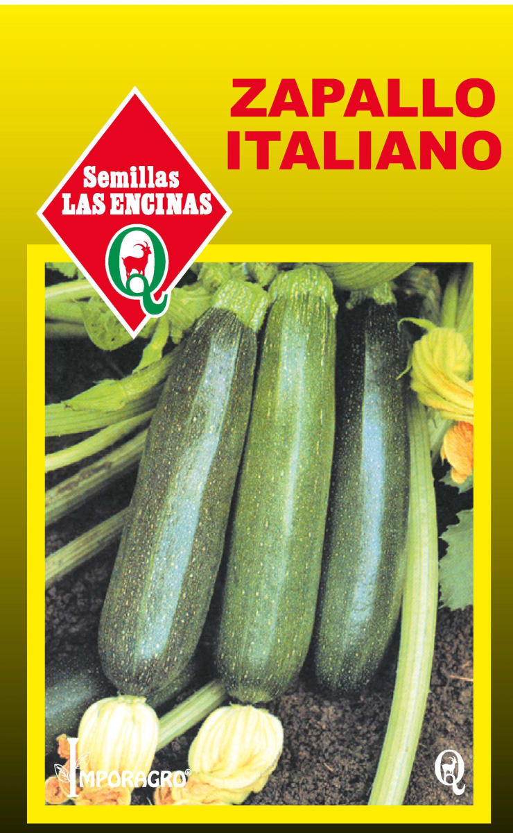 ZAPALLO ITALIANO 0