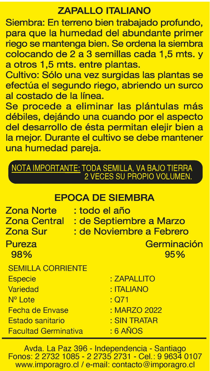 ZAPALLO ITALIANO2
