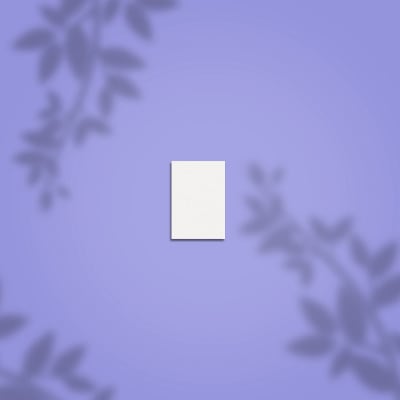 Buffer Rectangular Mini EXPERT 51 100/180 grit (paquete de 50 unidades)