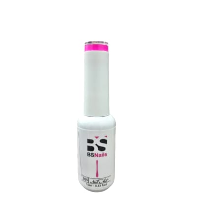 BSNAILS Gel Paint Liner en botella 05 10gr