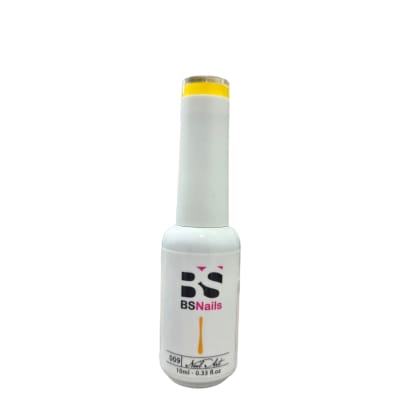 BSNAILS Gel Paint Liner en botella 09 10gr