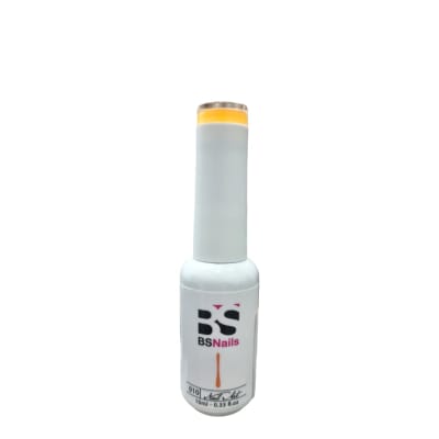 BSNAILS Gel Paint Liner en botella 10 10gr