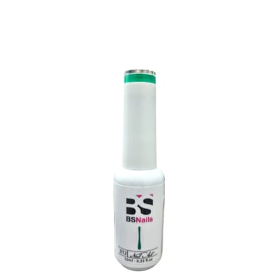 BSNAILS Gel Paint Liner en botella 12 10gr
