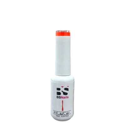 BSNAILS Gel Paint Liner en botella 13 10gr1