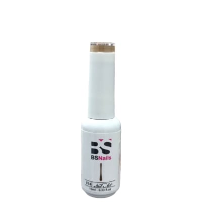 BSNAILS Gel Paint Liner en botella 14 10gr