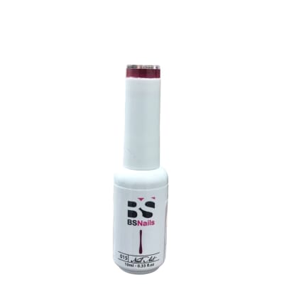 BSNAILS Gel Paint Liner en botella 15 10gr