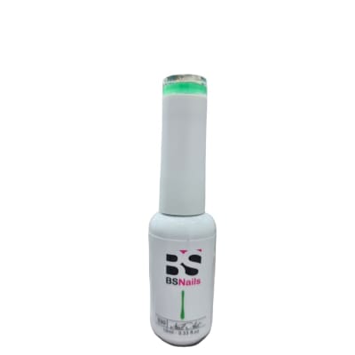 BSNAILS Gel Paint Liner en botella 30 10gr