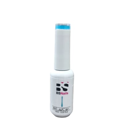 BSNAILS Gel Paint Liner en botella 32 10gr1
