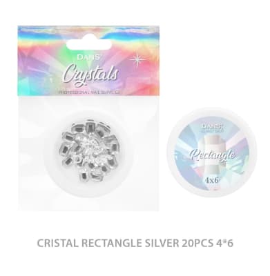 DANS Cristal Rectangle SILVER 20pcs 4*6