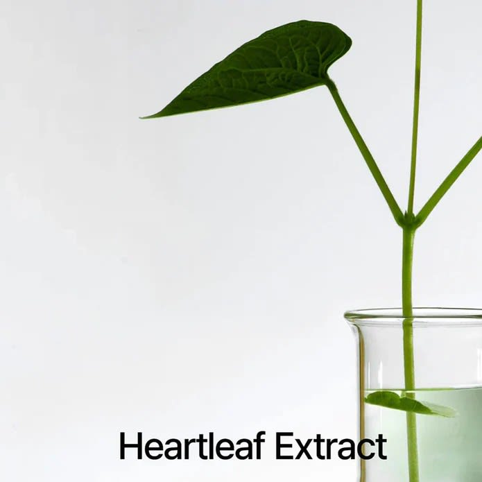 ANUA Heartleaf 77% Soothing Toner – Tónico Facial 40ml – Mini Talla2