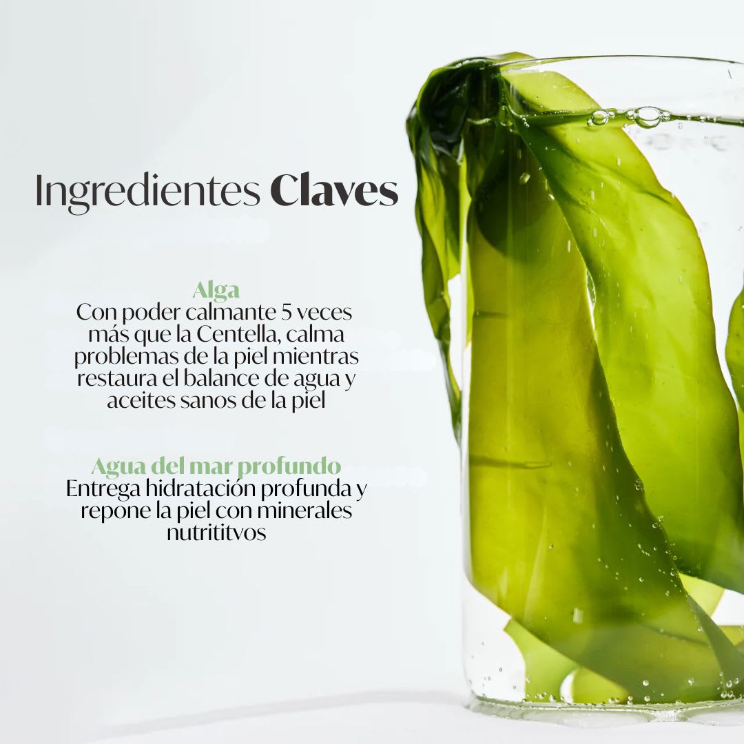 BIODANCE – Refreshing Sea Kelp Mask – Mascarilla Gel Hidratante4