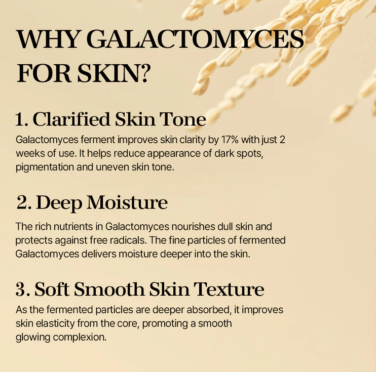 MIXSOON Galactomyces Ferment Essence – 30ml2