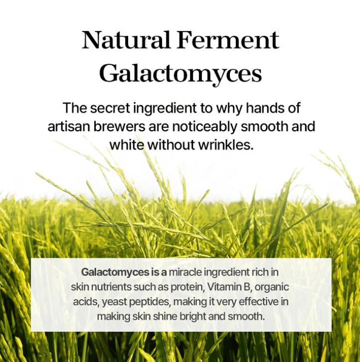 MIXSOON Galactomyces Ferment Essence – 30ml3