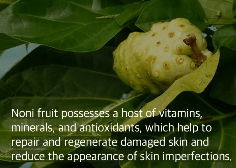 MIXSOON Noni Fruit Essence – 100ml2
