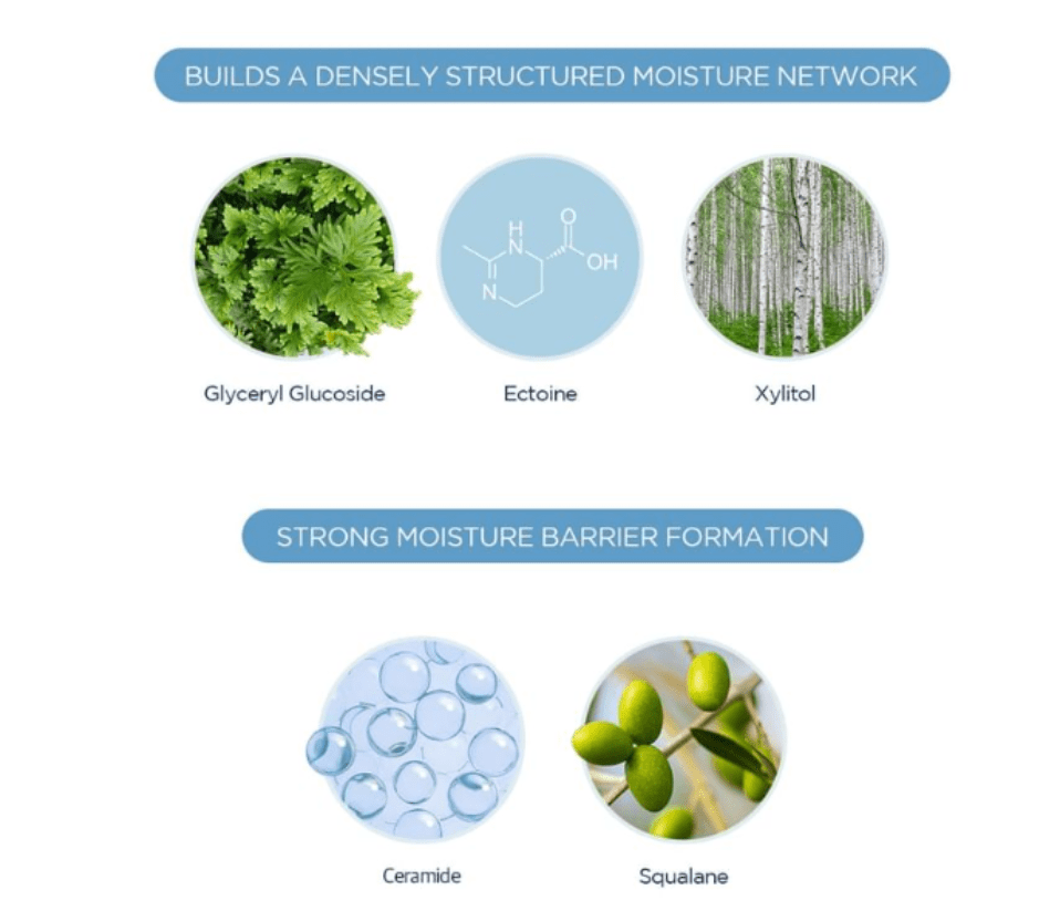 SKIN1004 – Centella Hylu-Cica Jelly-Fit Ampoule – Pads Hidratantes – 60 pzs3