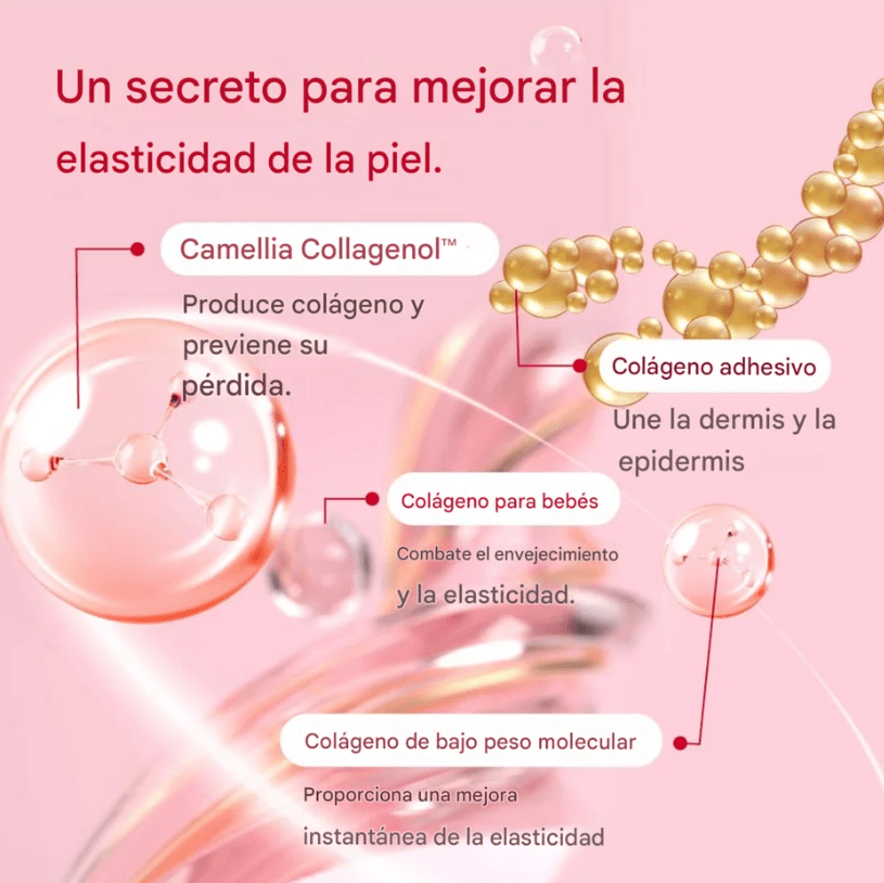 Camellia Deep Collagen Firming Cream 50ml2