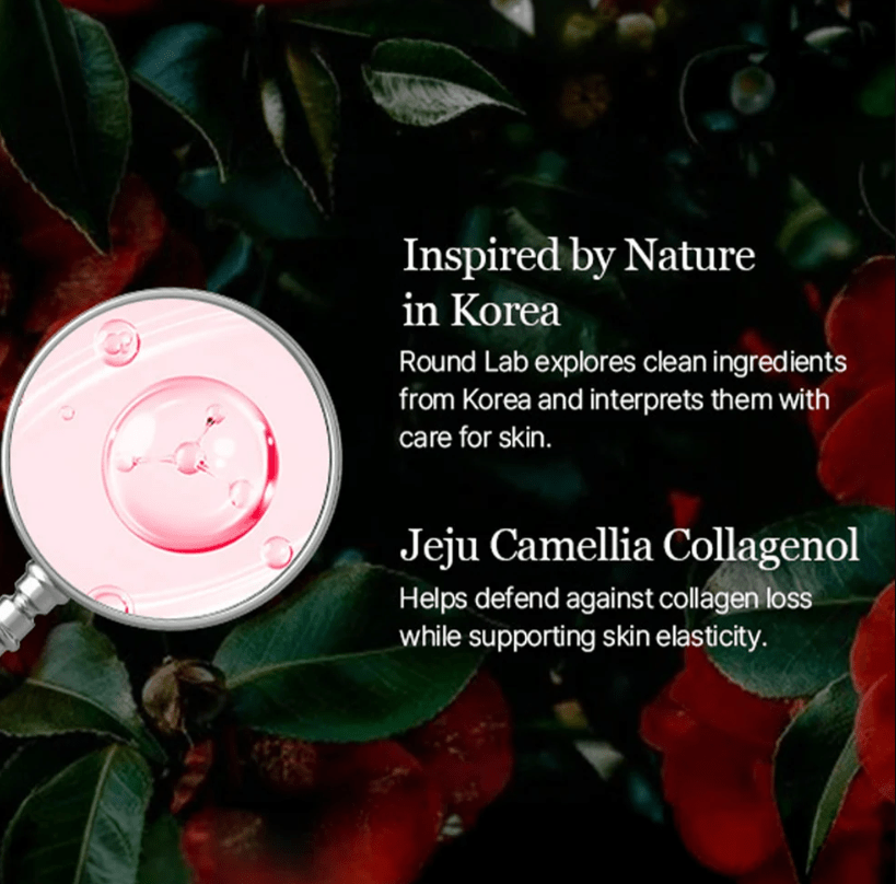 Round Lab Camellia Deep Collagen PDRN Milky Toner5