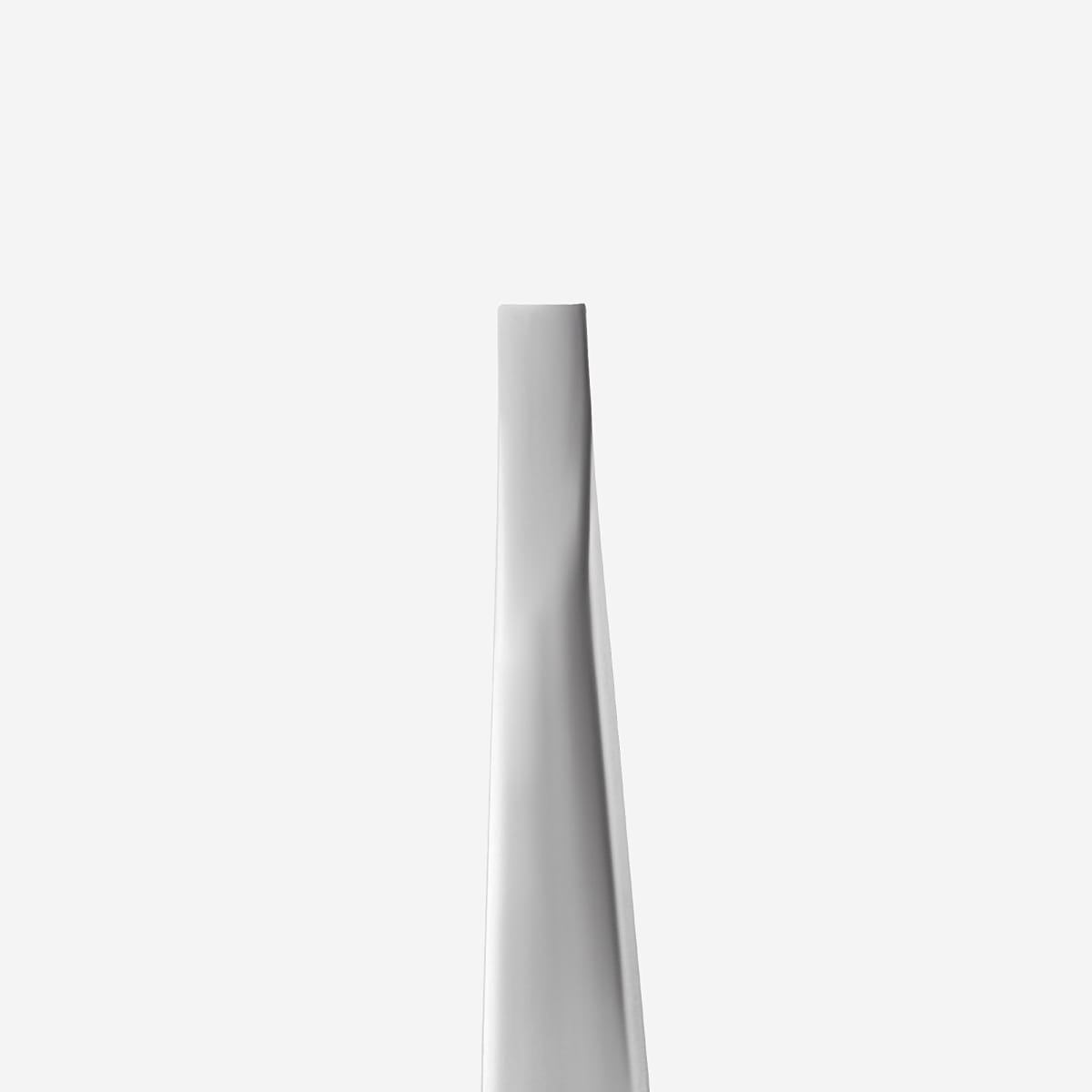 Staleks Pro Pinza de Cejas Expert 10 Type 12