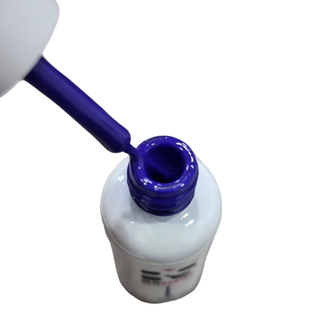 BSNAILS Gel Paint Liner en botella 07 10gr2