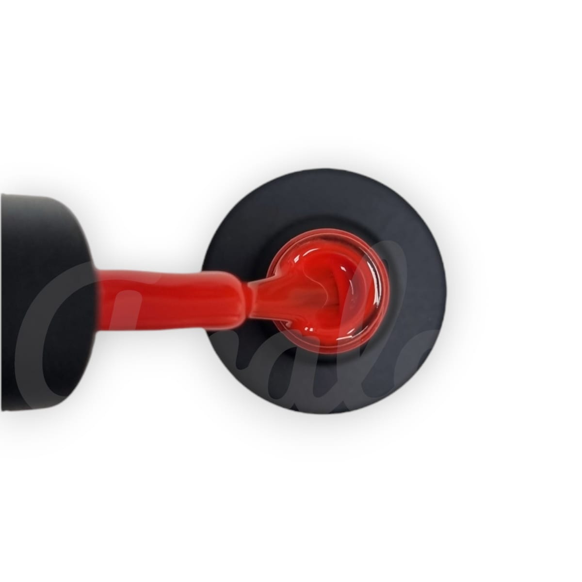 Esmalte permanente DANS 060 10ml3