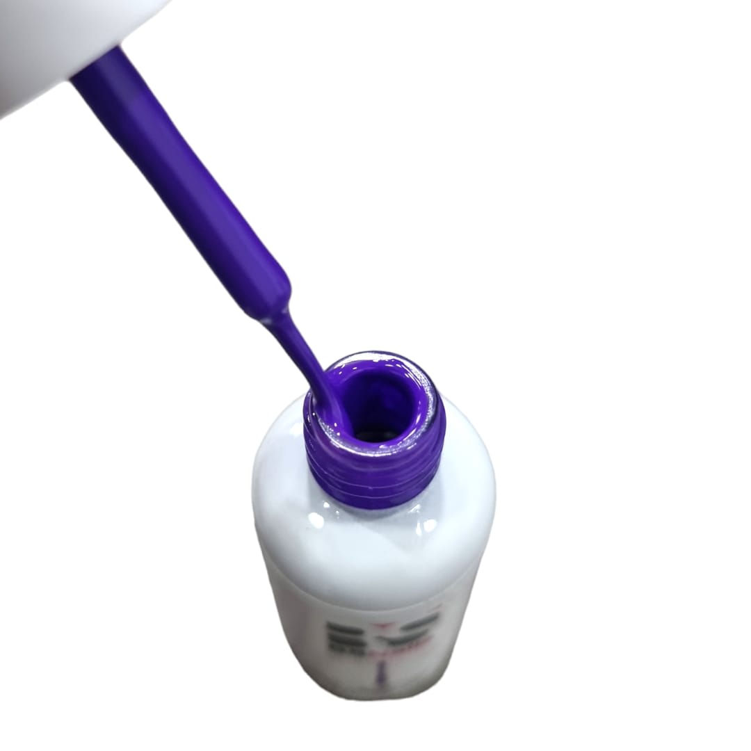 BSNAILS Gel Paint Liner en botella 06 10gr2