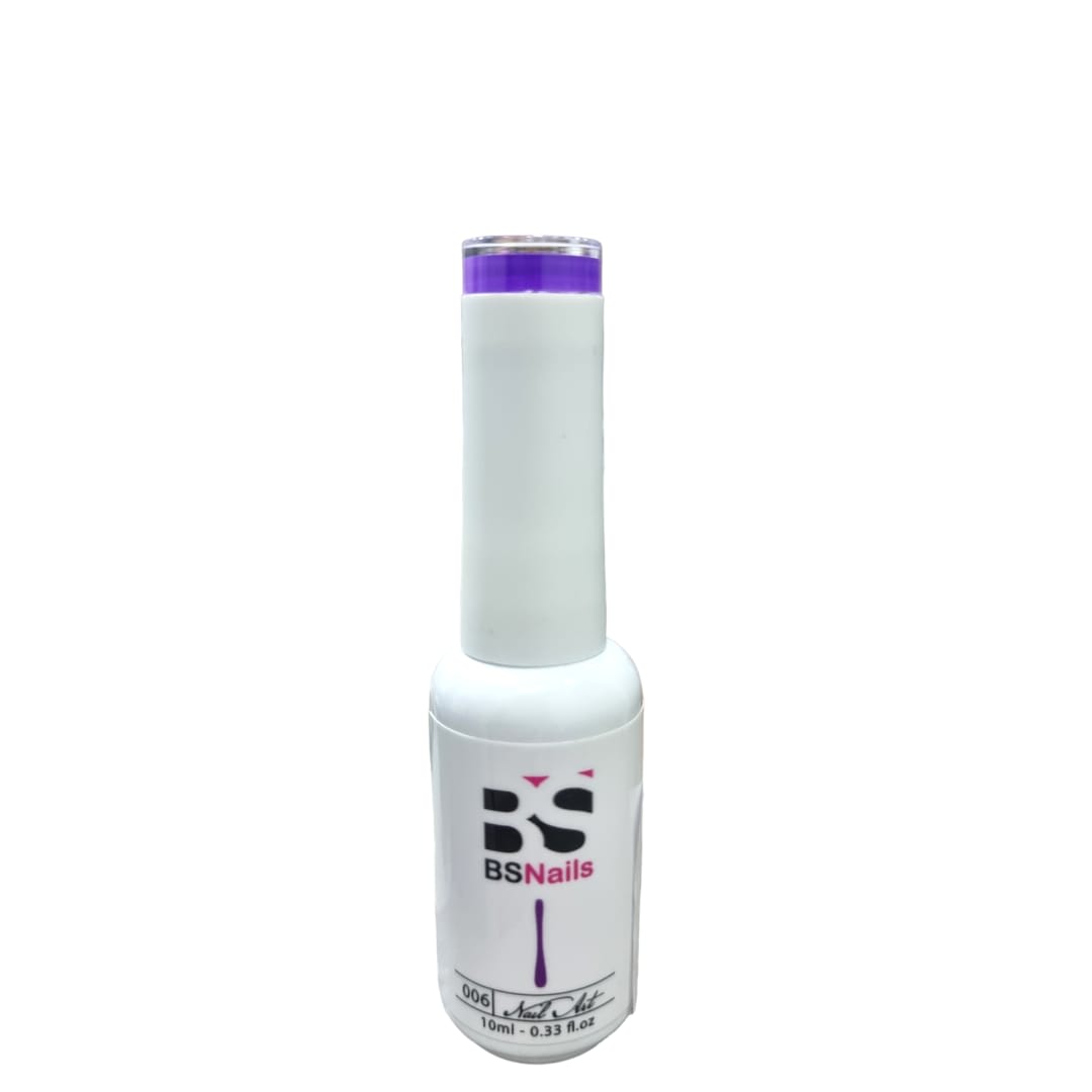 BSNAILS Gel Paint Liner en botella 06 10gr 0