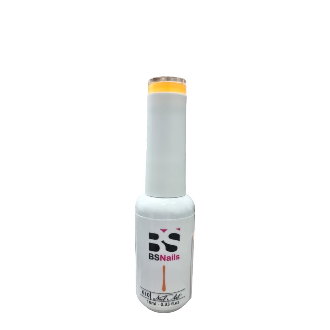 BSNAILS Gel Paint Liner en botella 10 10gr 0