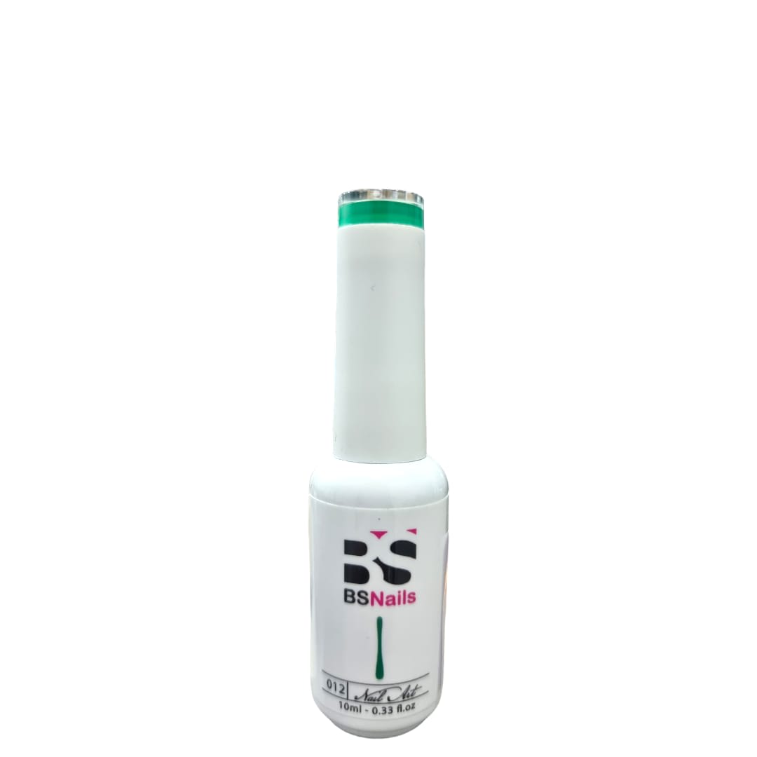 BSNAILS Gel Paint Liner en botella 12 10gr 0