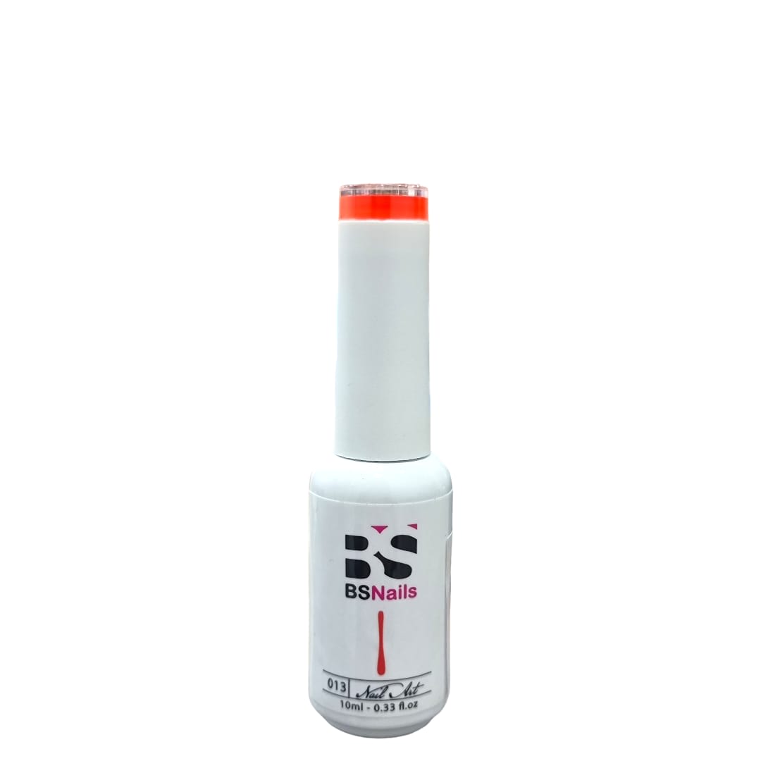 BSNAILS Gel Paint Liner en botella 13 10gr 0