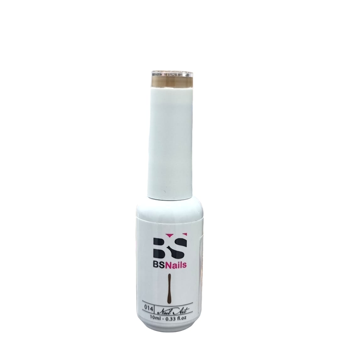 BSNAILS Gel Paint Liner en botella 14 10gr 0